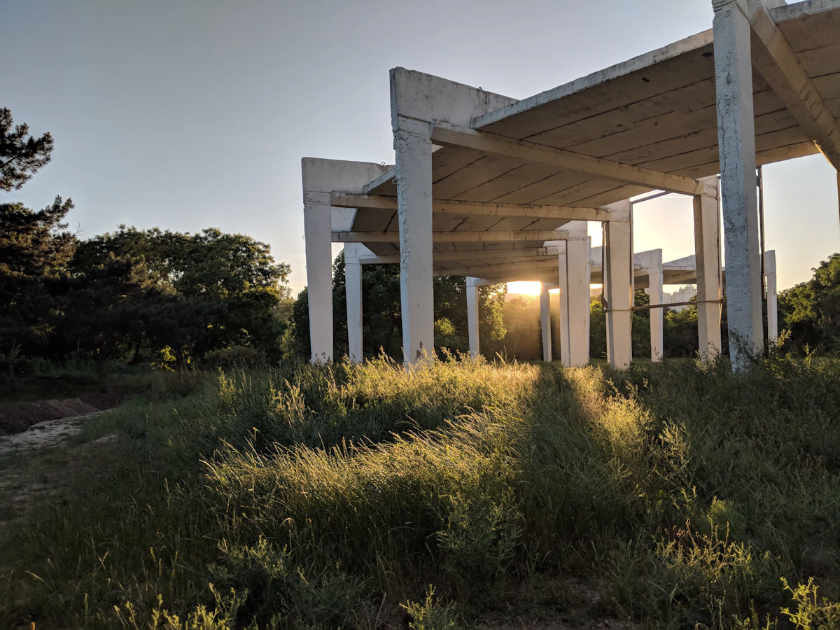 Estructura de concreto abierta, rodeada de vegetación y luz de atardecer